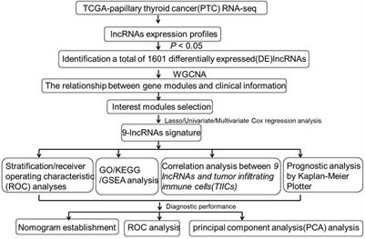 A Potential Nine-lncRNAs Signature Identification and Nomogram Diagnostic Model Establishment for Papillary Thyroid Cancer